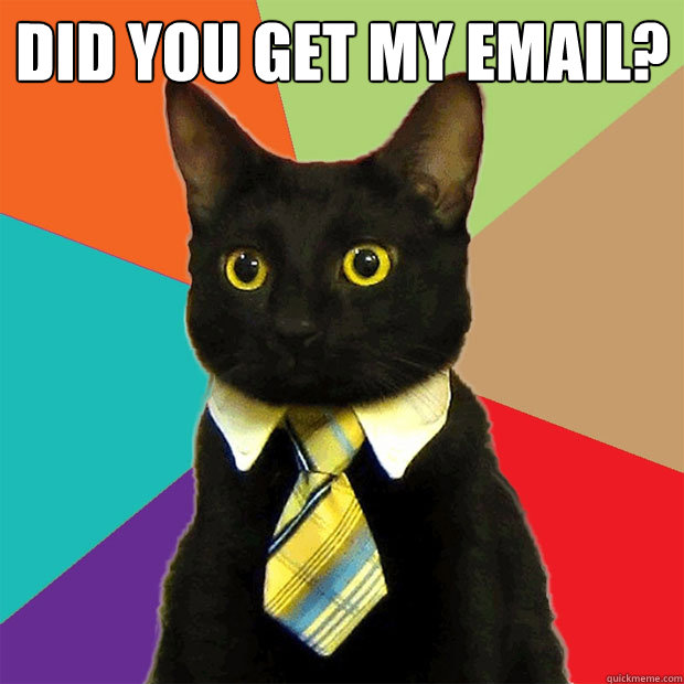 Did you get my email?